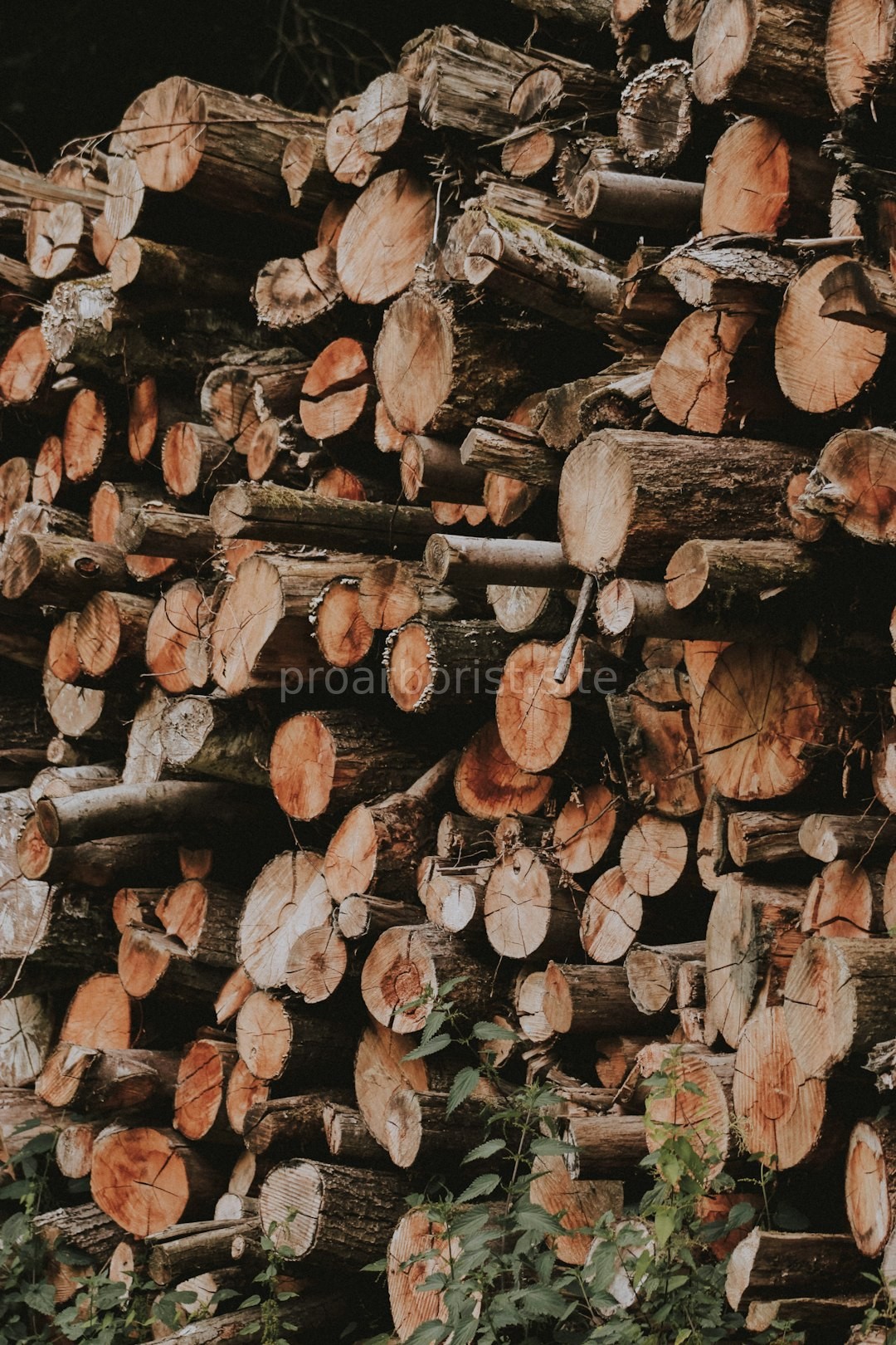 Land Clearing