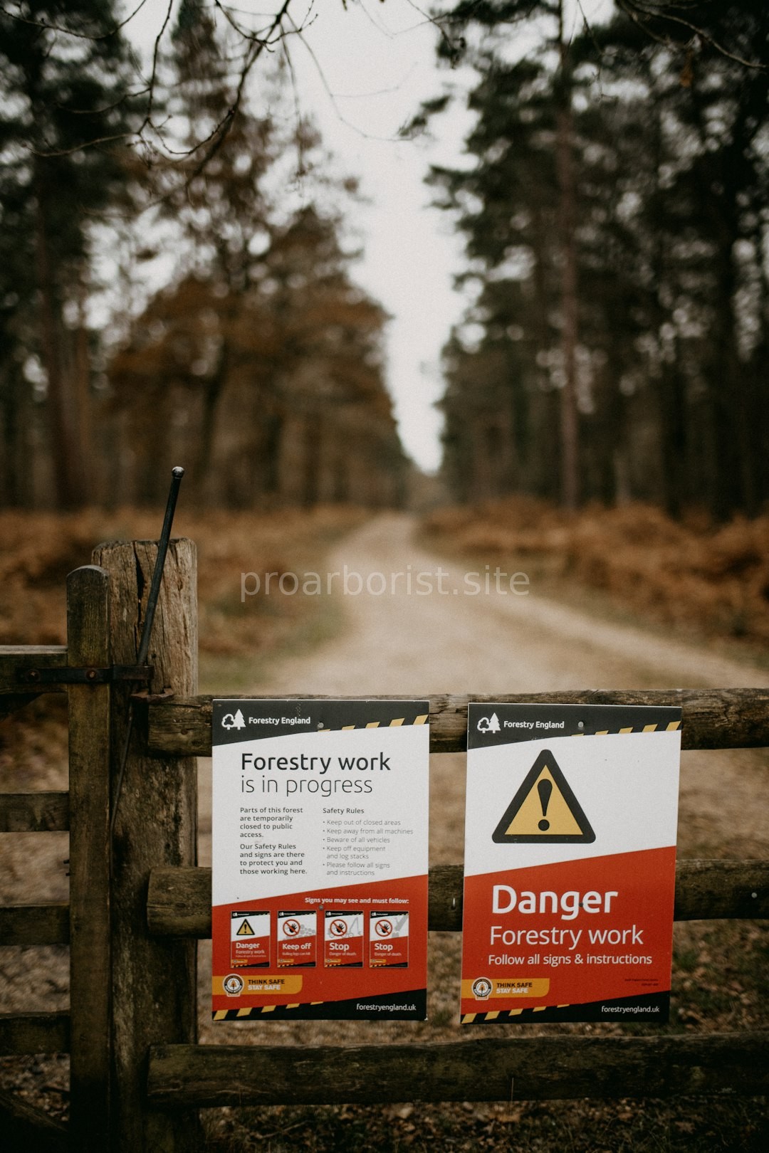 Tree Health