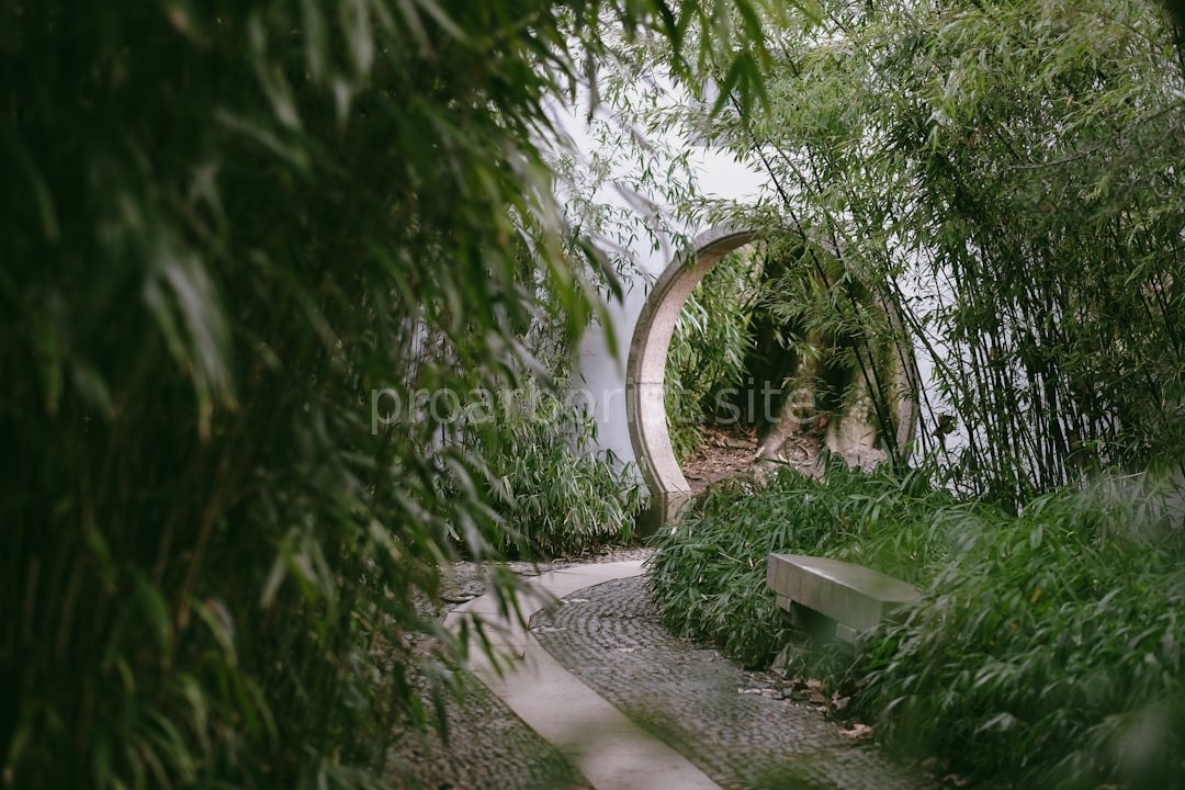 Garden Maintenance
