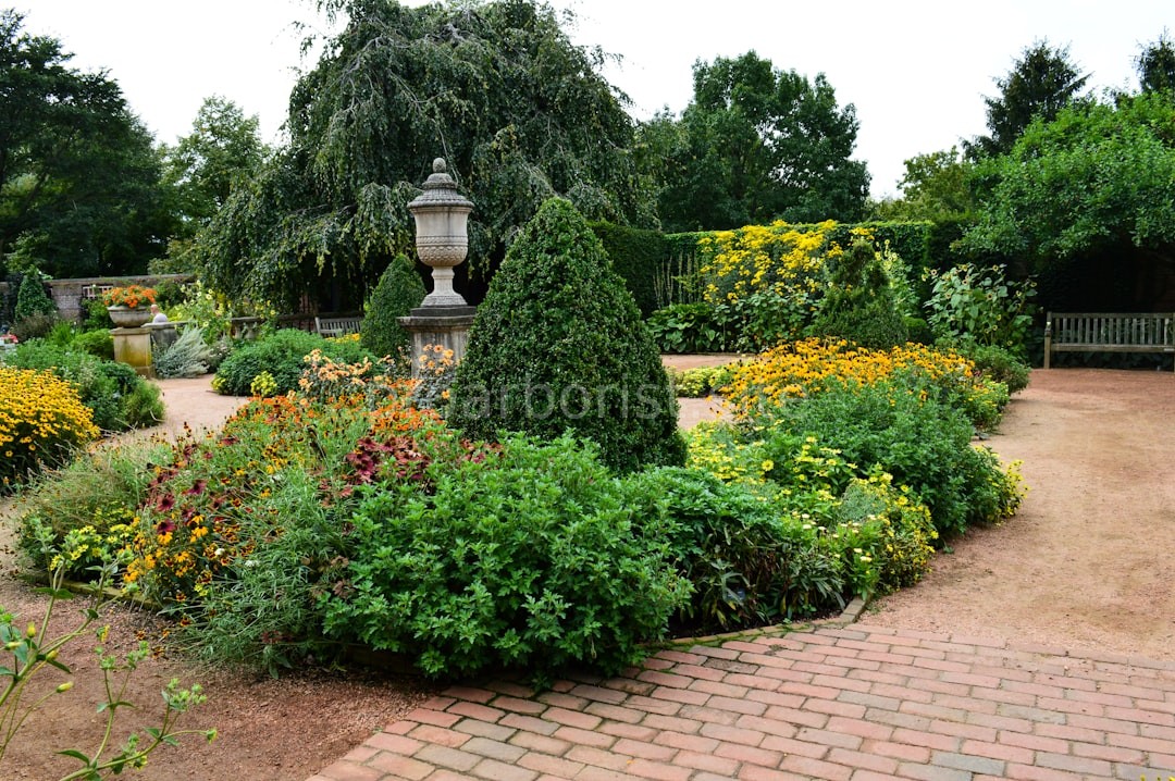 Lush Landscape